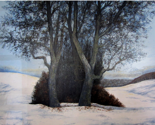 AUB-099